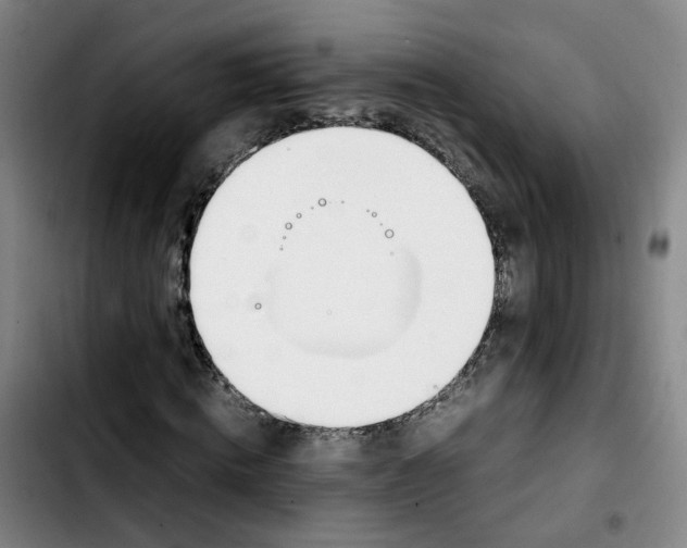 X0000103450820200810241143