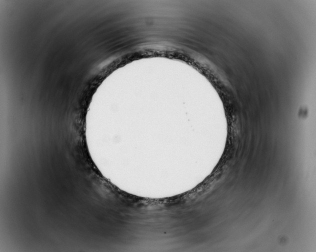 X0000103450822200810241143