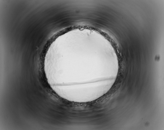 X0000103450823200810241143