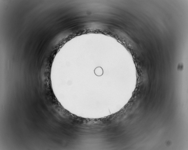 X0000103450824200810241143