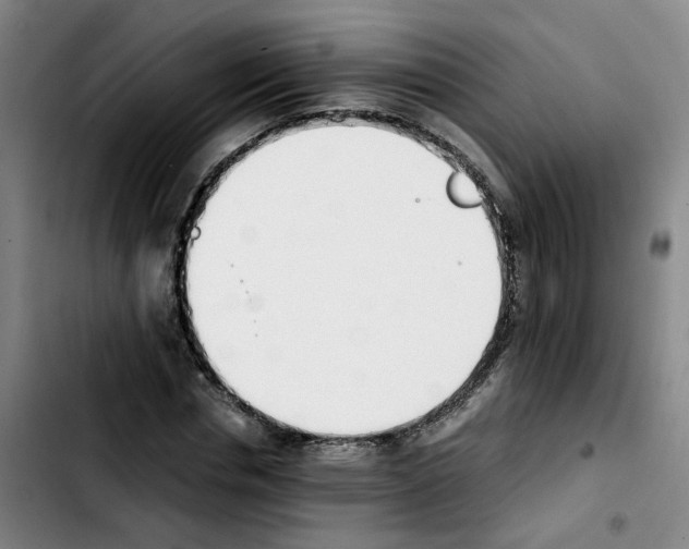 X0000103450826200810241143