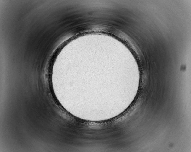 X0000103450827200810241143