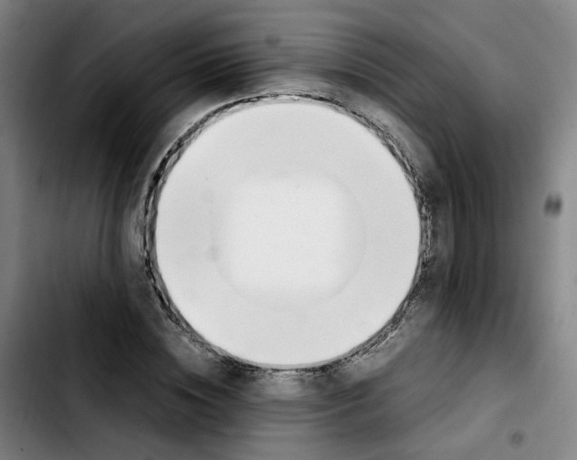 X0000103450828200810241143