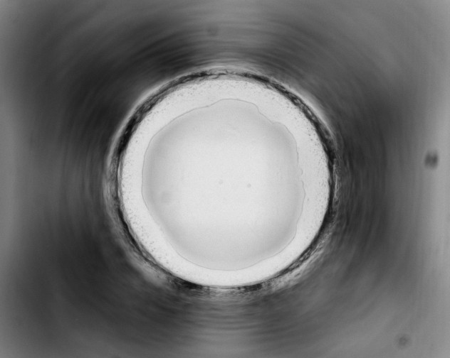 X0000103450832200810241143