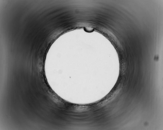 X0000103450833200810241143