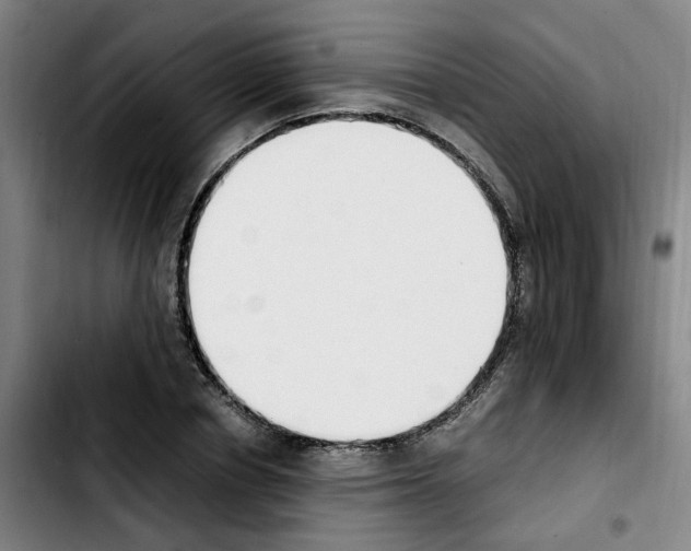 X0000103450834200810241143