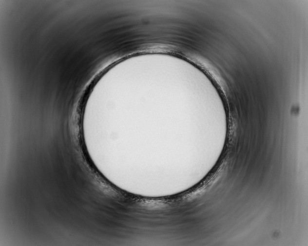 X0000103450835200810241143