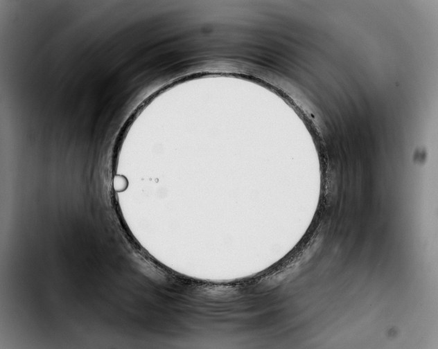 X0000103450837200810241143