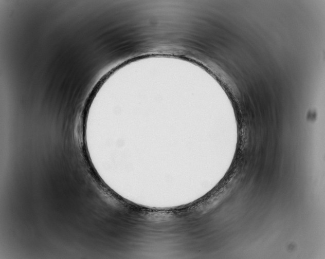 X0000103450838200810241143