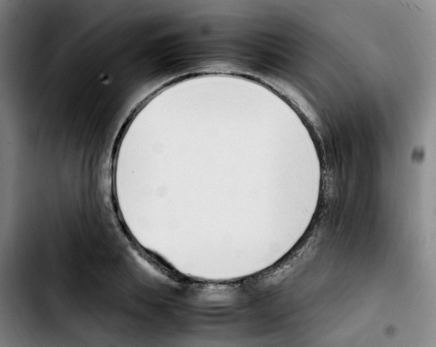 X0000103450839200810241143