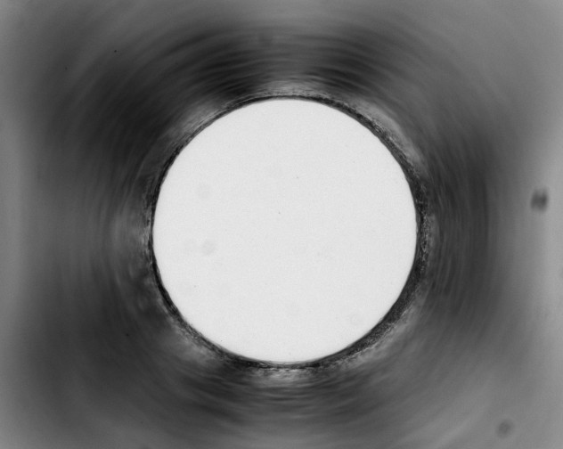 X0000103450841200810241143