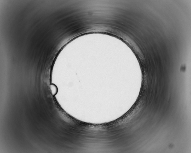 X0000103450842200810241143