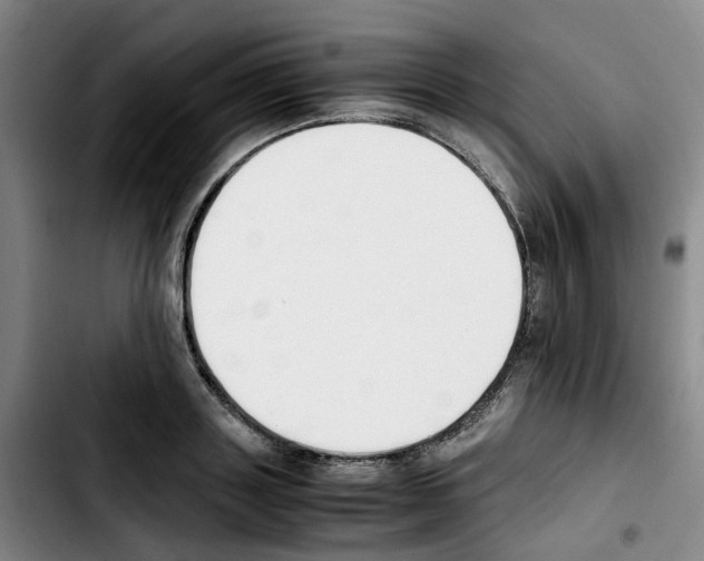 X0000103450843200810241143