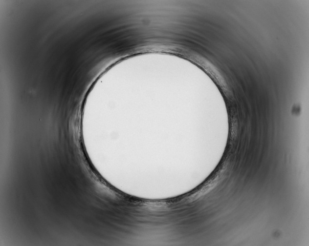 X0000103450844200810241143