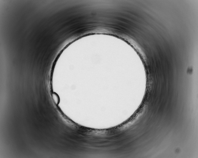 X0000103450845200810241143