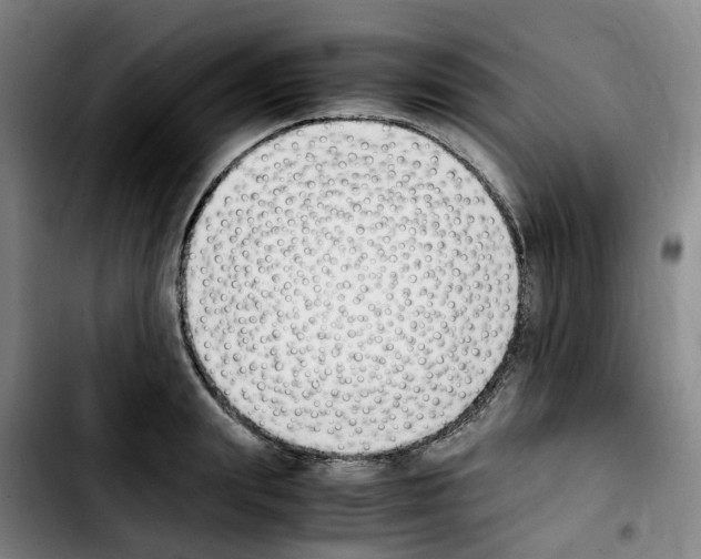 X0000103450847200810241143