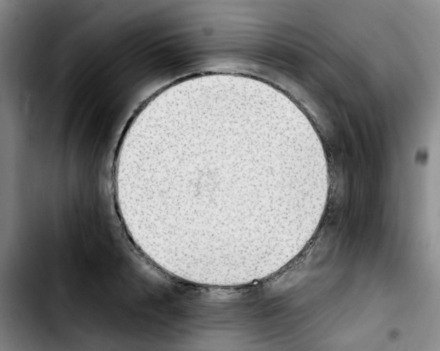 X0000103450848200810241143