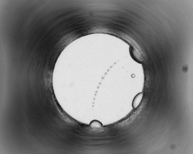 X0000103450849200810241143