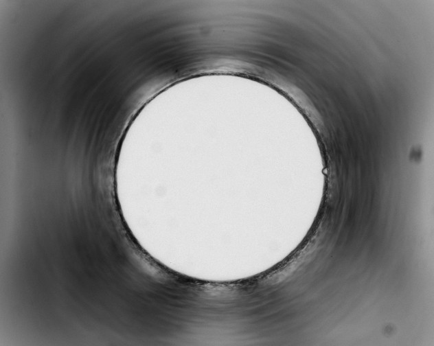 X0000103450850200810241143