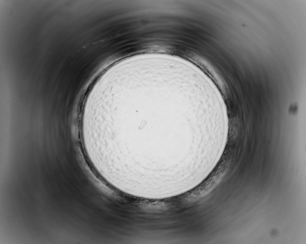 X0000103450851200810241143