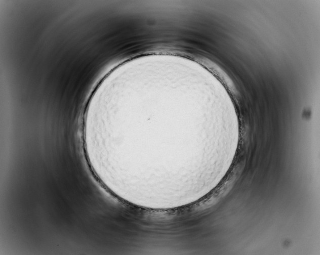 X0000103450855200810241144