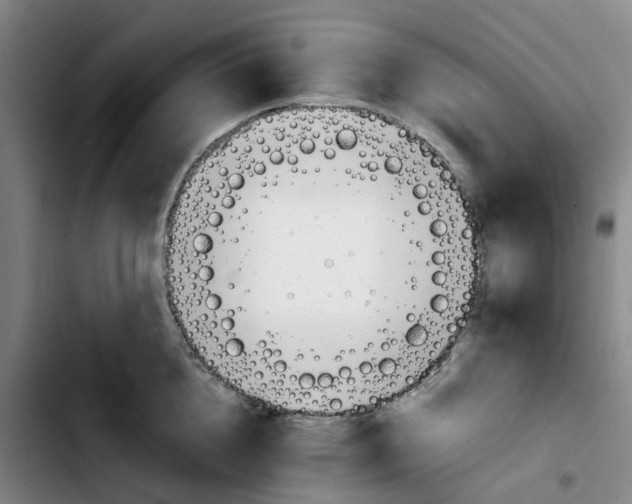 X0000103450856200810241144