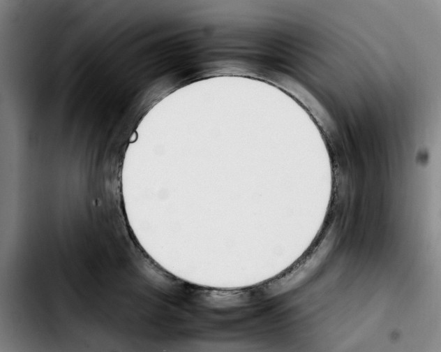 X0000103450857200810241144