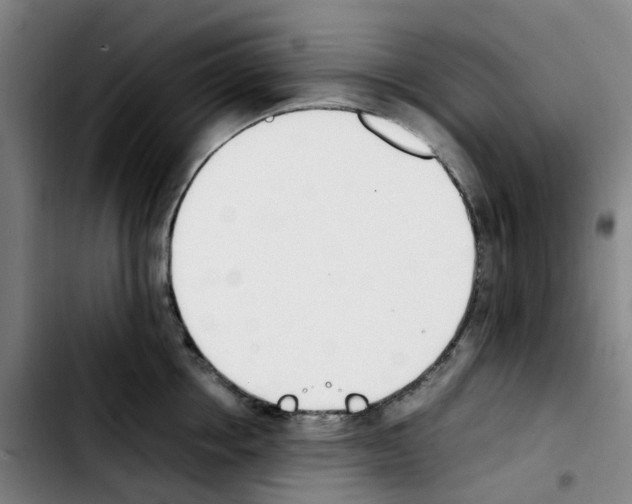 X0000103450858200810241144