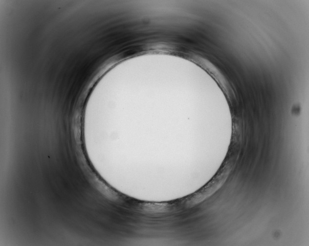 X0000103450859200810241144