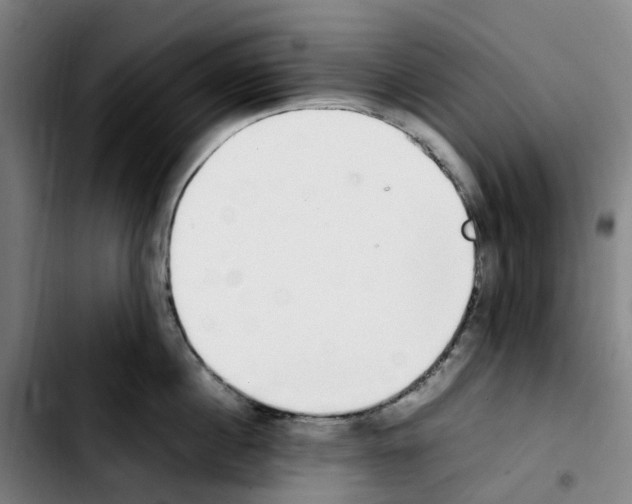 X0000103450860200810241144