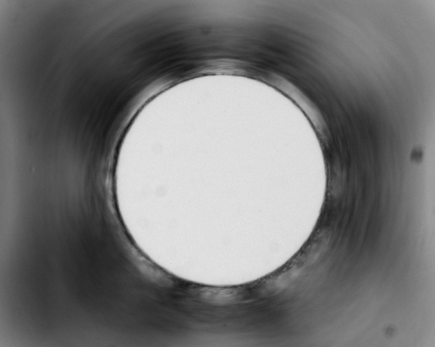 X0000103450861200810241144