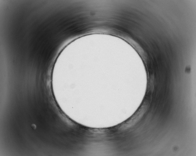 X0000103450862200810241144