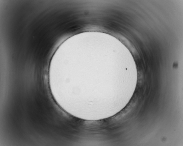 X0000103450863200810241144