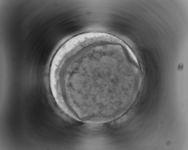 X0000103450864200810241144