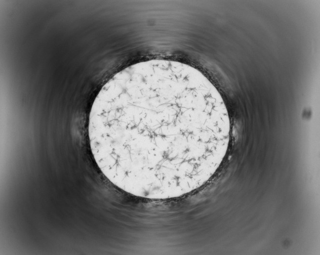 X0000103450867200810241143