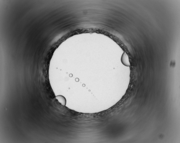 X0000103450871200810241143