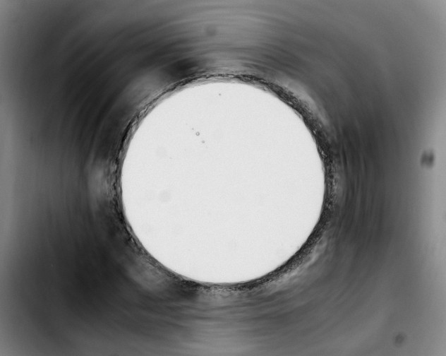 X0000103450873200810241143