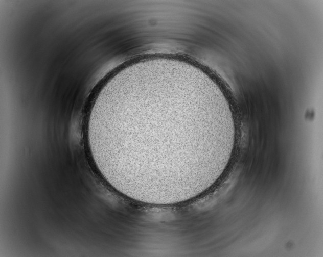 X0000103450874200810241143