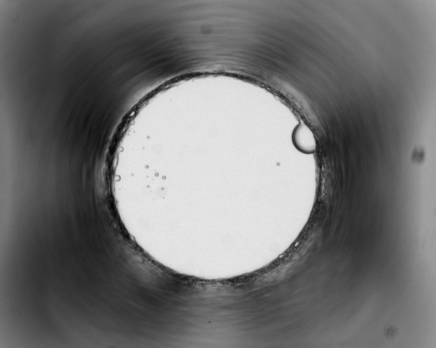 X0000103450876200810241143