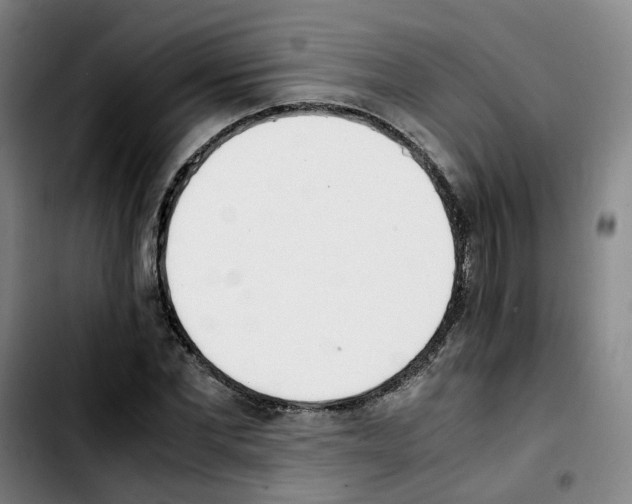 X0000103450877200810241143