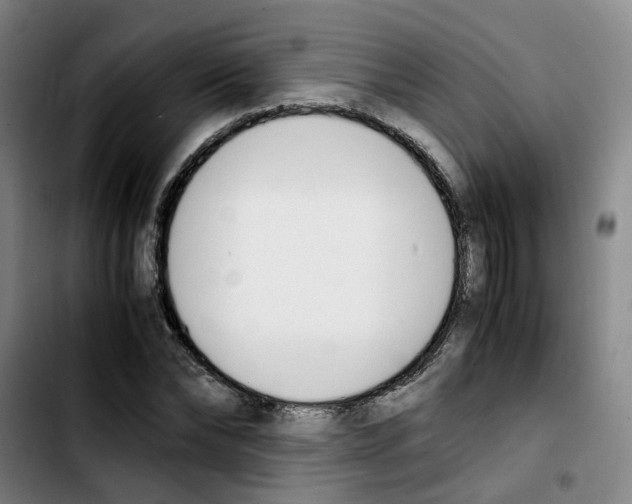 X0000103450878200810241143