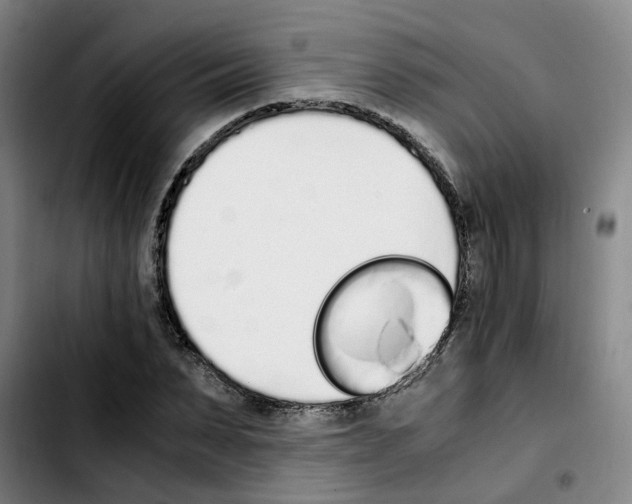 X0000103450879200810241143