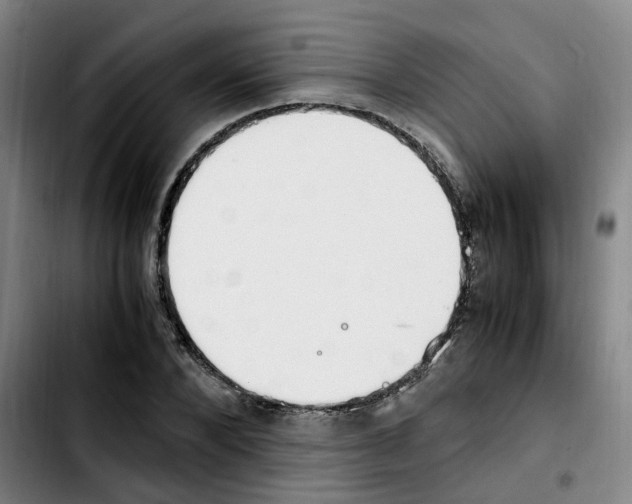 X0000103450880200810241143