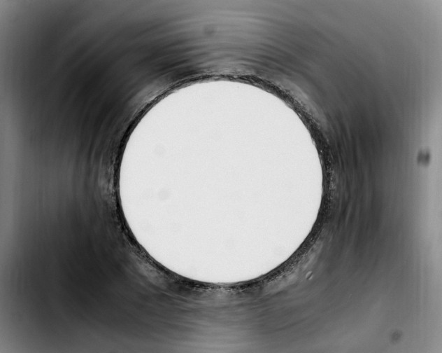 X0000103450881200810241143