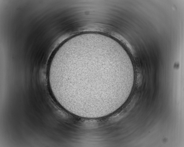 X0000103450882200810241143