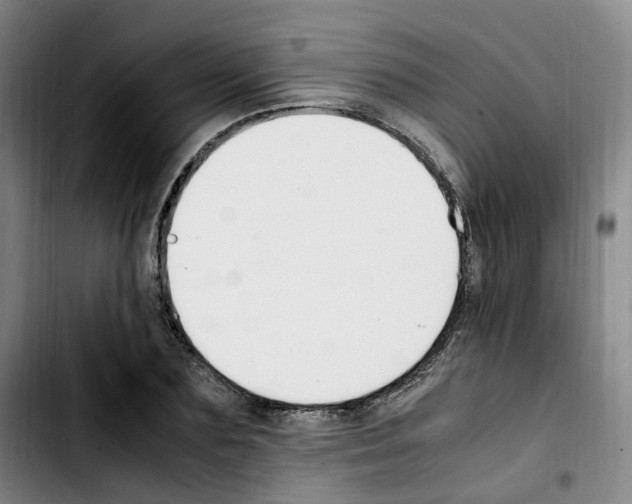 X0000103450883200810241143