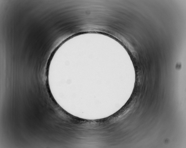 X0000103450885200810241142