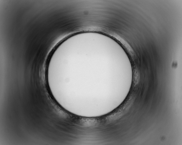 X0000103450886200810241142