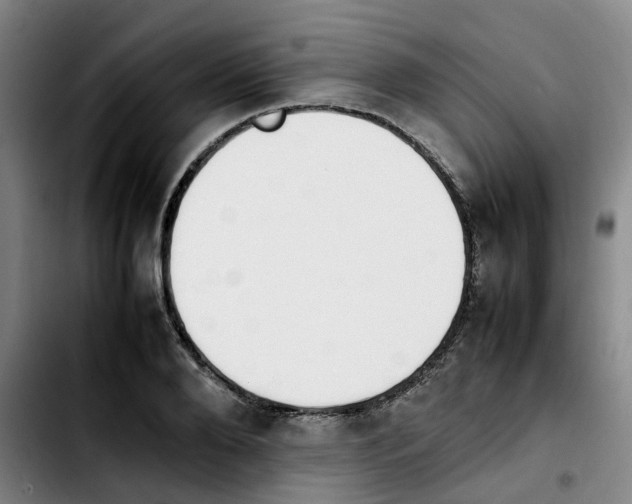 X0000103450888200810241142