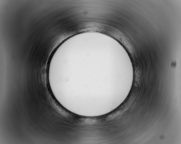 X0000103450890200810241142